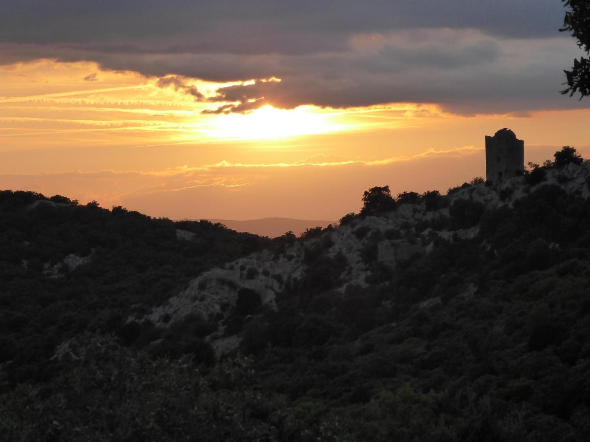 Le Castellas Du Pic St Loup Saint-Mathieu-de-Tréviers Exteriör bild