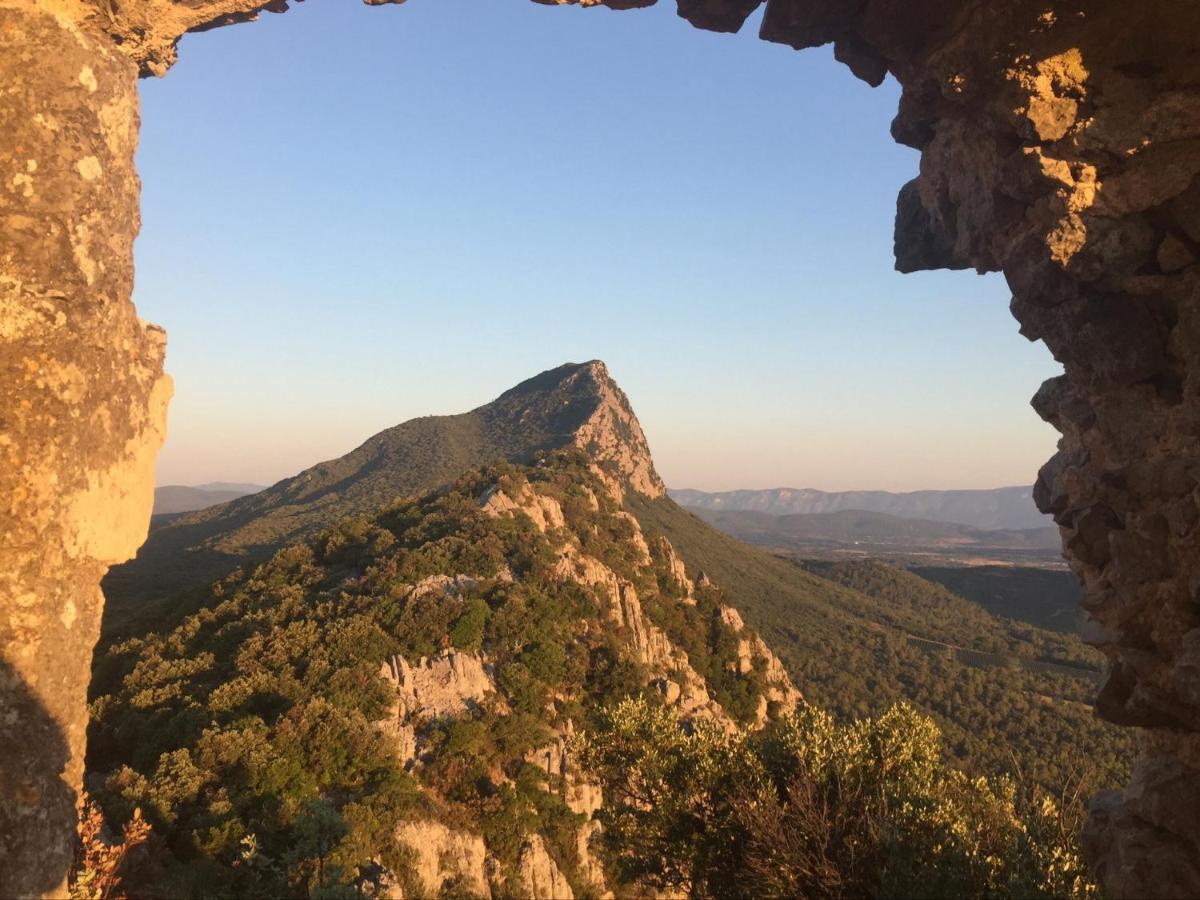 Le Castellas Du Pic St Loup Saint-Mathieu-de-Tréviers Exteriör bild