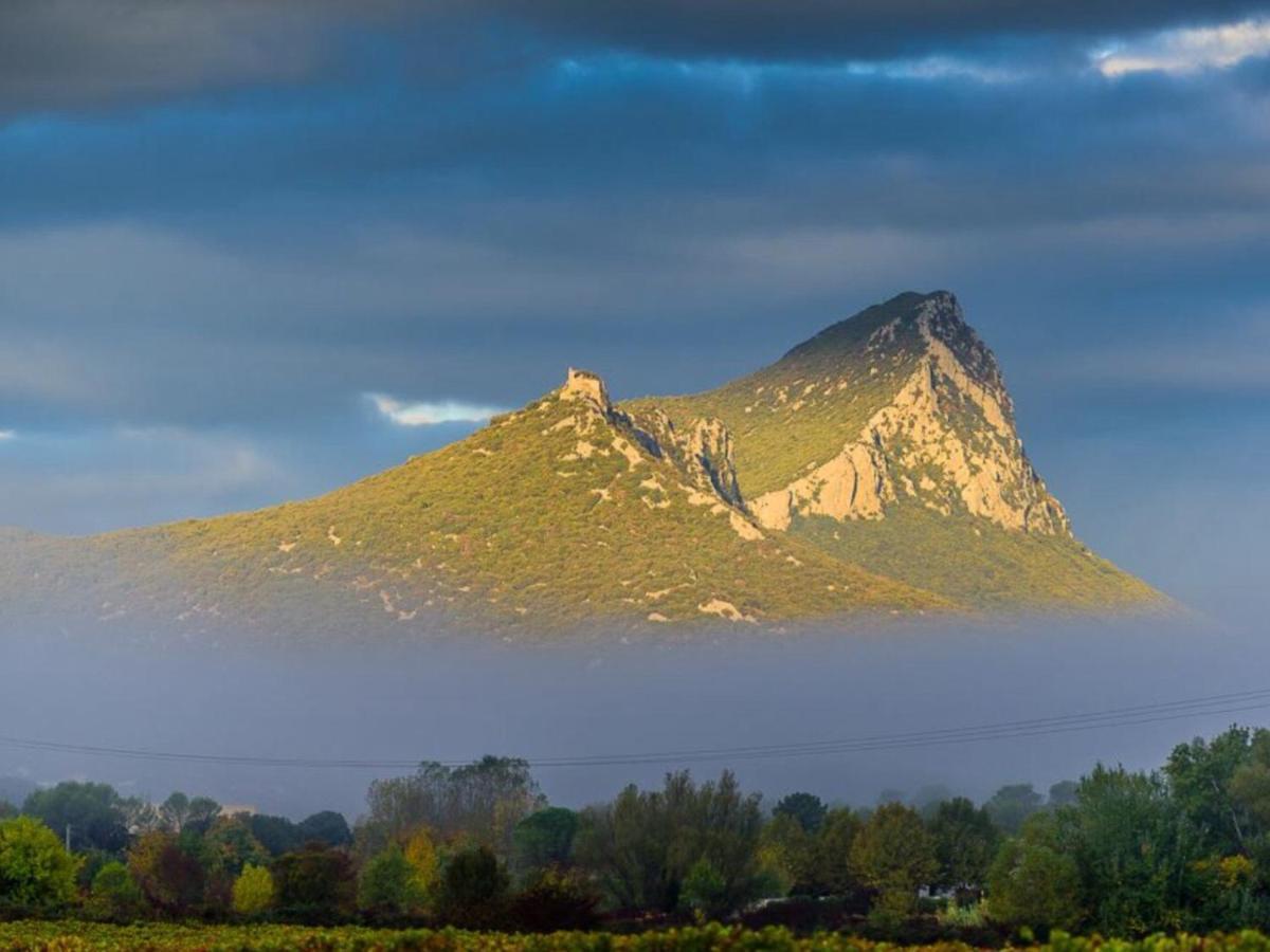 Le Castellas Du Pic St Loup Saint-Mathieu-de-Tréviers Exteriör bild