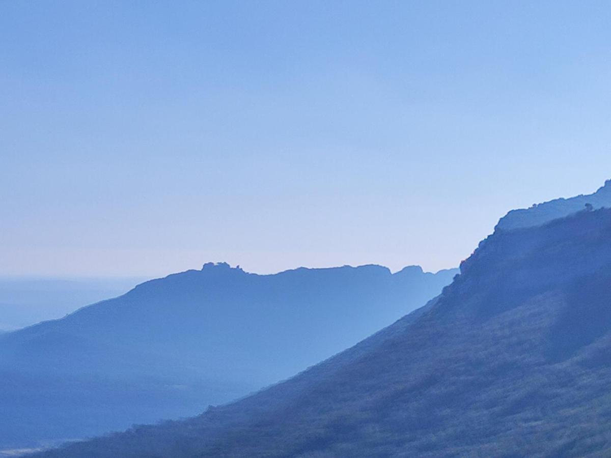 Le Castellas Du Pic St Loup Saint-Mathieu-de-Tréviers Exteriör bild
