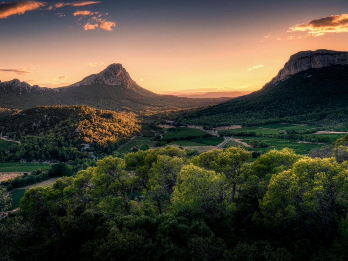 Le Castellas Du Pic St Loup Saint-Mathieu-de-Tréviers Exteriör bild