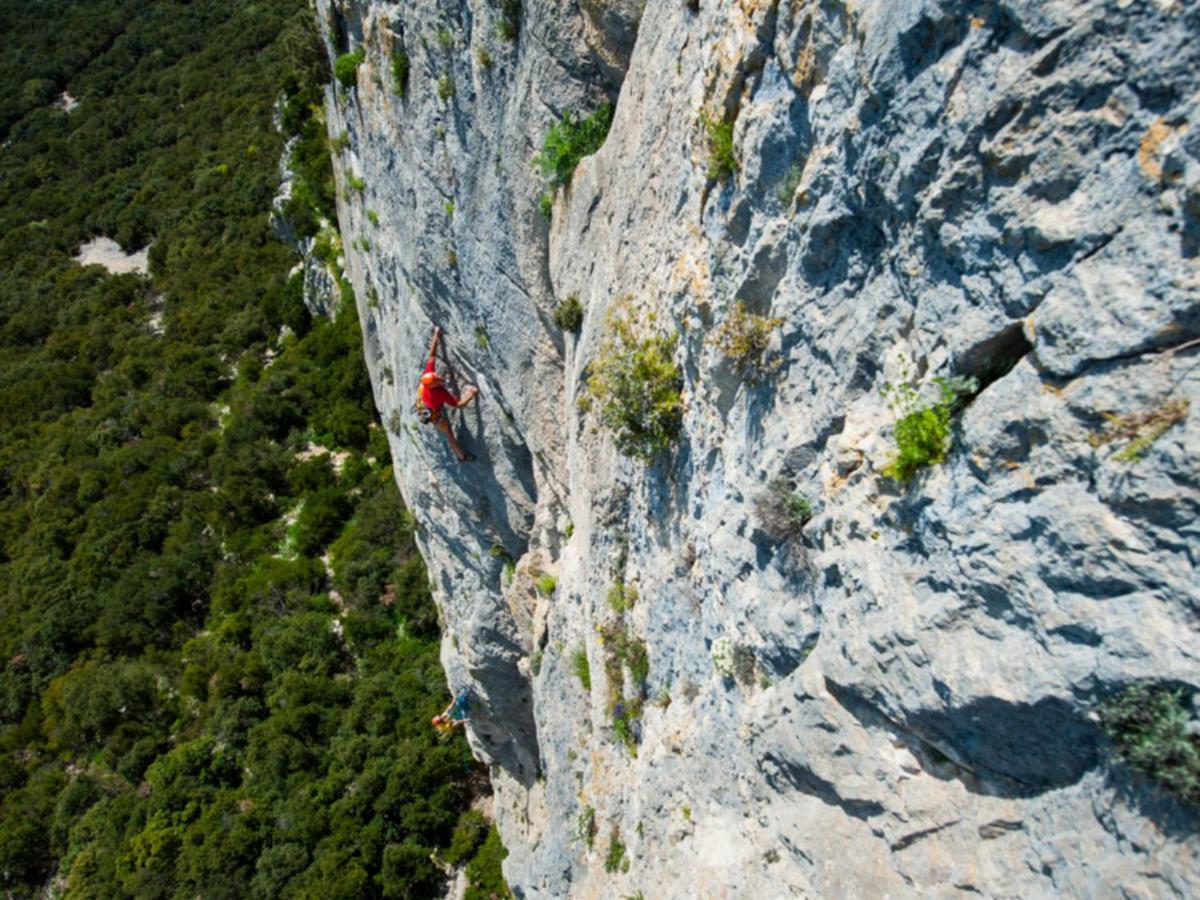 Le Castellas Du Pic St Loup Saint-Mathieu-de-Tréviers Exteriör bild