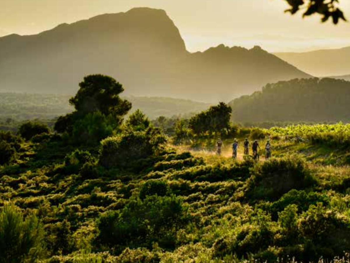 Le Castellas Du Pic St Loup Saint-Mathieu-de-Tréviers Exteriör bild